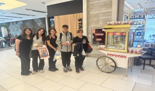 Patlamış Mısır Arabası Kiralama