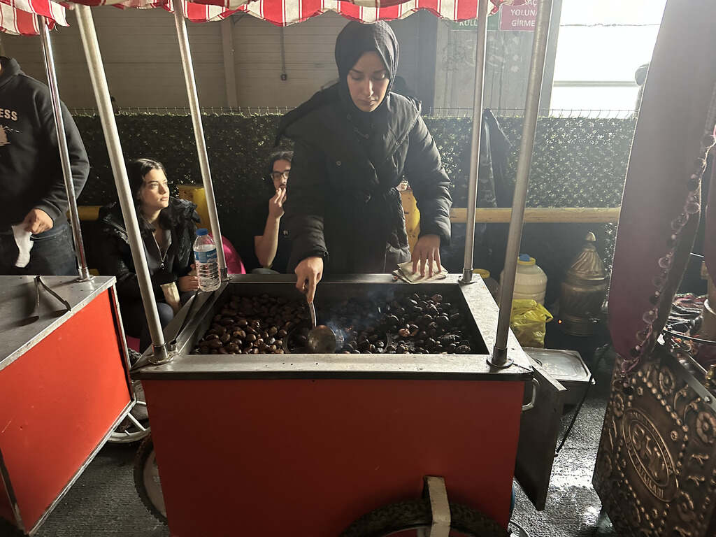 Kestane Arabası Kiralama
